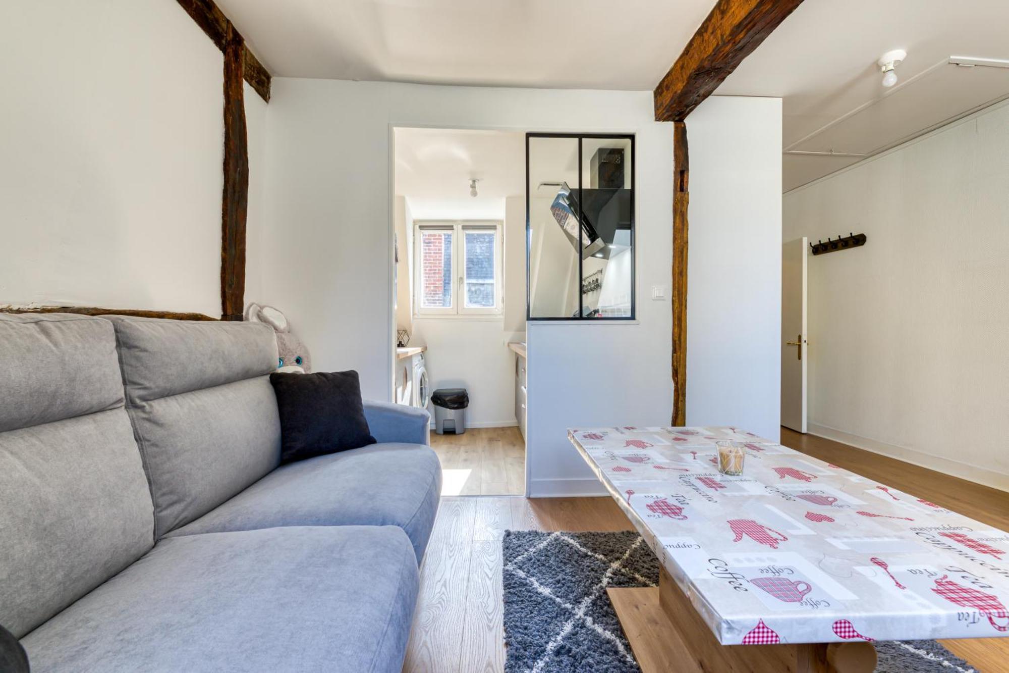 Apartment Dans L'hypercentre De Rouen